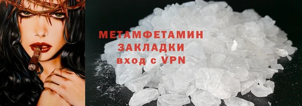 прущие грибы Лабытнанги
