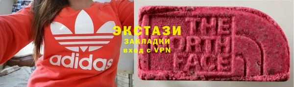 прущие грибы Лабытнанги
