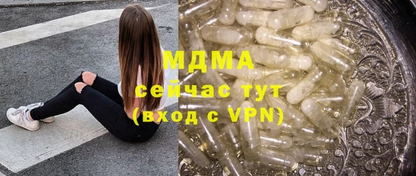 прущие грибы Лабытнанги