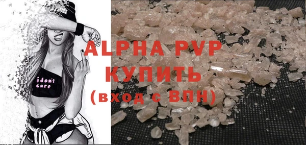 прущие грибы Лабытнанги