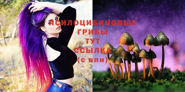 прущая мука Ладушкин