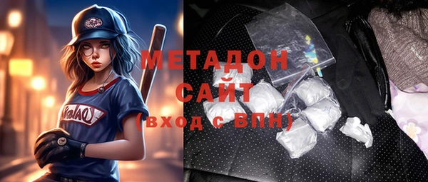прущие грибы Лабытнанги