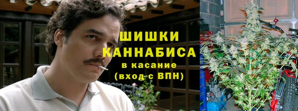 прущие грибы Лабытнанги