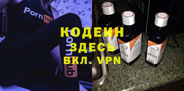 прущие грибы Лабытнанги