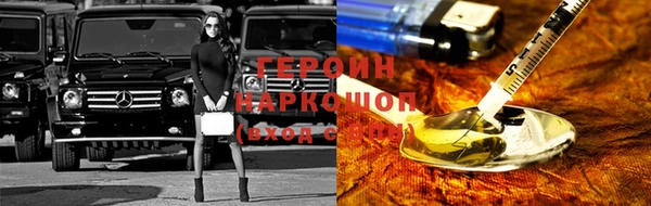 прущие грибы Лабытнанги