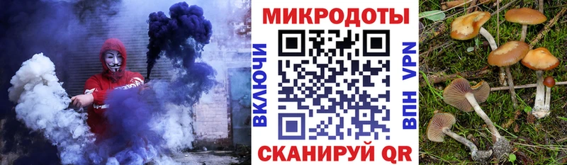 Псилоцибиновые грибы Cubensis гидра ONION сайты даркнета какой сайт Ленинградская